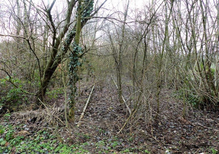 Grüne im Kreis Viersen weisen auf drohende  Entwidmung der S28-Trasse in Mönchengladbach hin