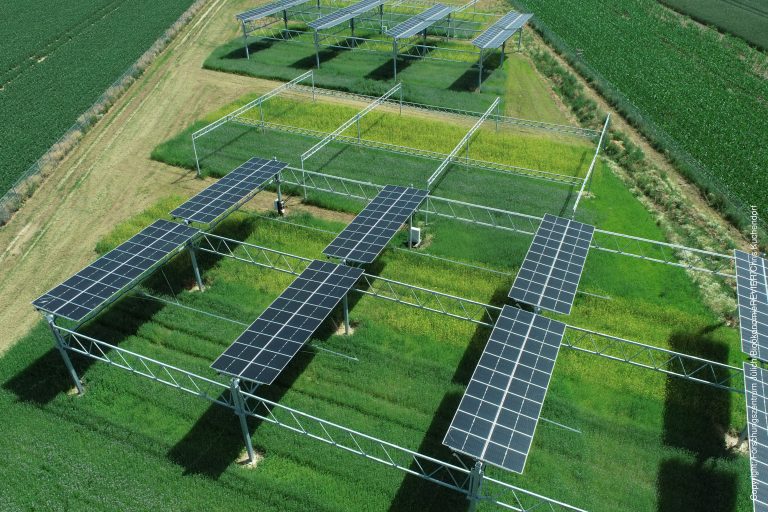 Agri-PV – Eine Chance für Landwirtschaft und Energiewende?