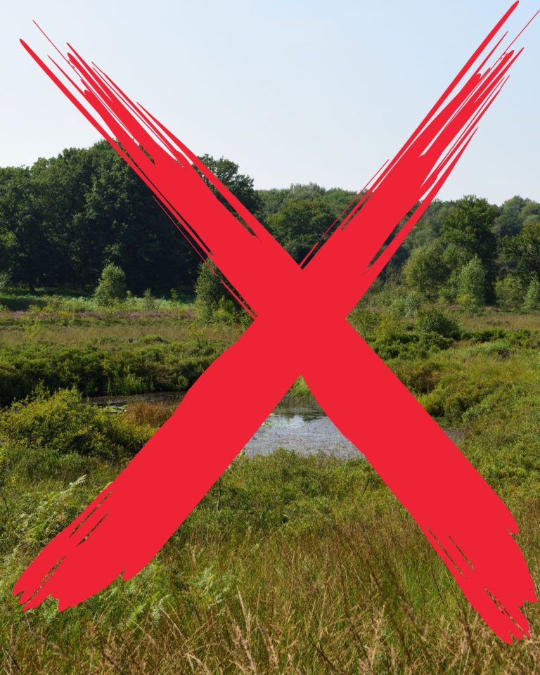 Stellungnahme zur (NICHT)Erweiterung des Naturparks Schwalm-Nette